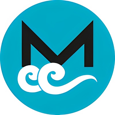 Metis Cybertechnology logo
